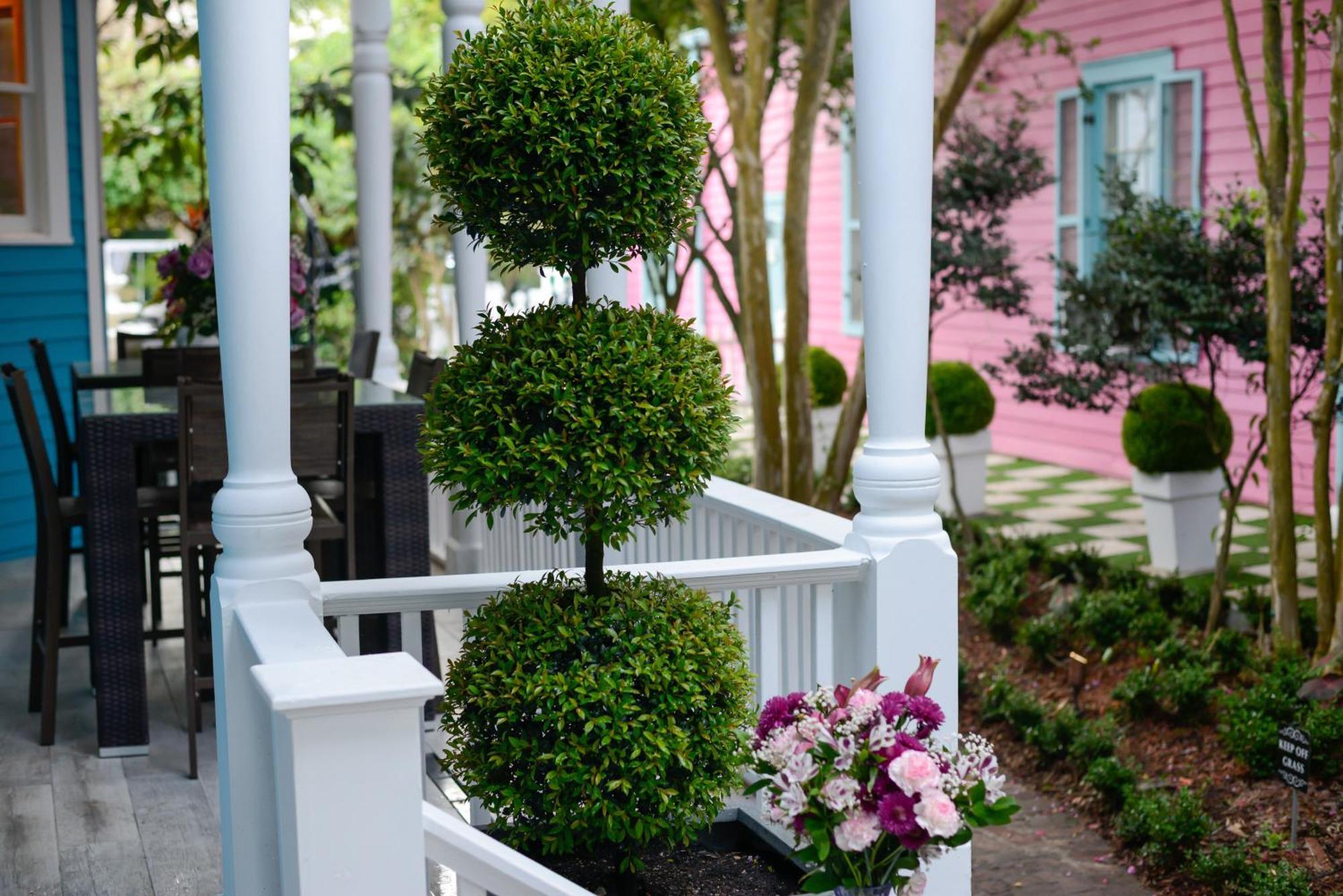 4 Bedroom - Sleeps 8! Celebrity Villa Next To Frenchman St New Orleans Eksteriør billede